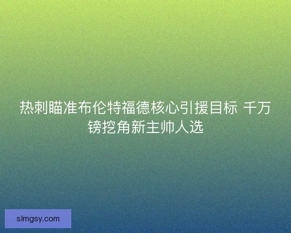 热刺瞄准布伦特福德核心引援目标 千万镑挖角新主帅人选