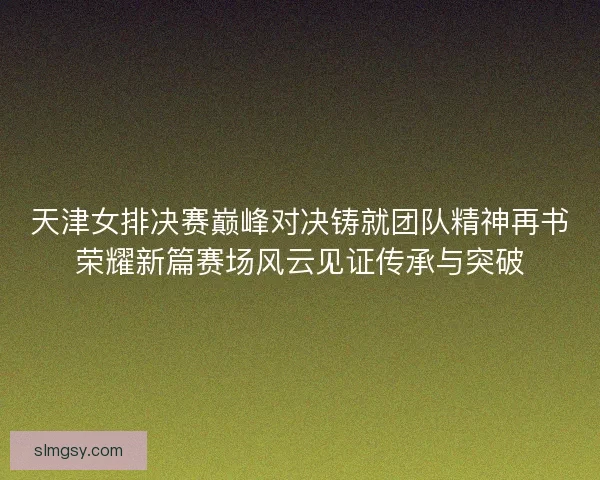 天津女排决赛巅峰对决铸就团队精神再书荣耀新篇赛场风云见证传承与突破