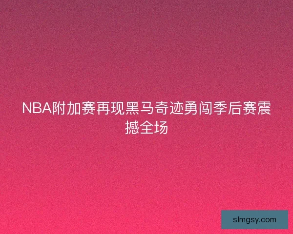 NBA附加赛再现黑马奇迹勇闯季后赛震撼全场