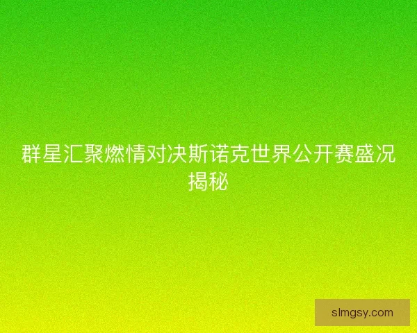 群星汇聚燃情对决斯诺克世界公开赛盛况揭秘