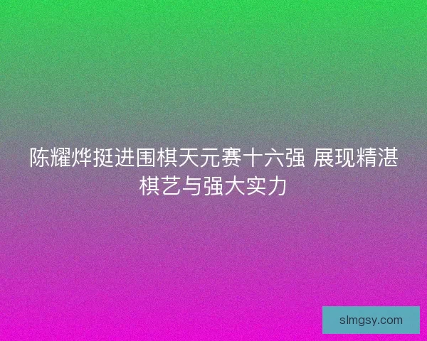 陈耀烨挺进围棋天元赛十六强 展现精湛棋艺与强大实力