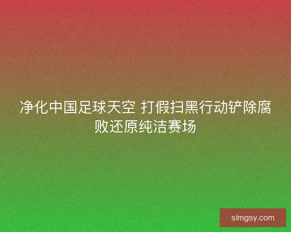 净化中国足球天空 打假扫黑行动铲除腐败还原纯洁赛场