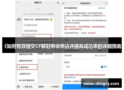 《如何有效提交CF解封申诉申请并提高成功率的详细指南》